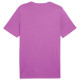 Puma Ανδρική κοντομάνικη μπλούζα Essential 2 Color Small No.1 Logo Tee